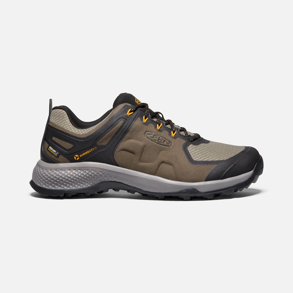 Keen Wandelschoenen Heren Bruin/Zwart - Explore Waterproof - 76234-NXZL